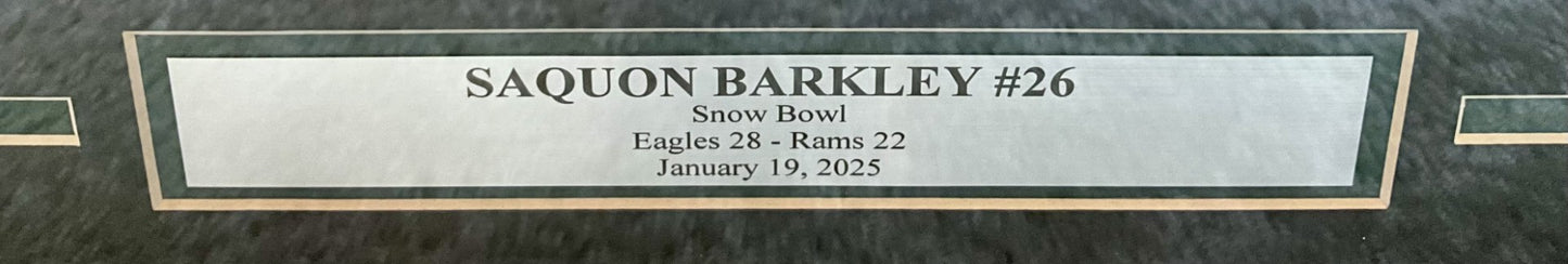 Saquon Barkley Philadelphia Eagles Autographed 16x20 Snow Bowl Framed Photo