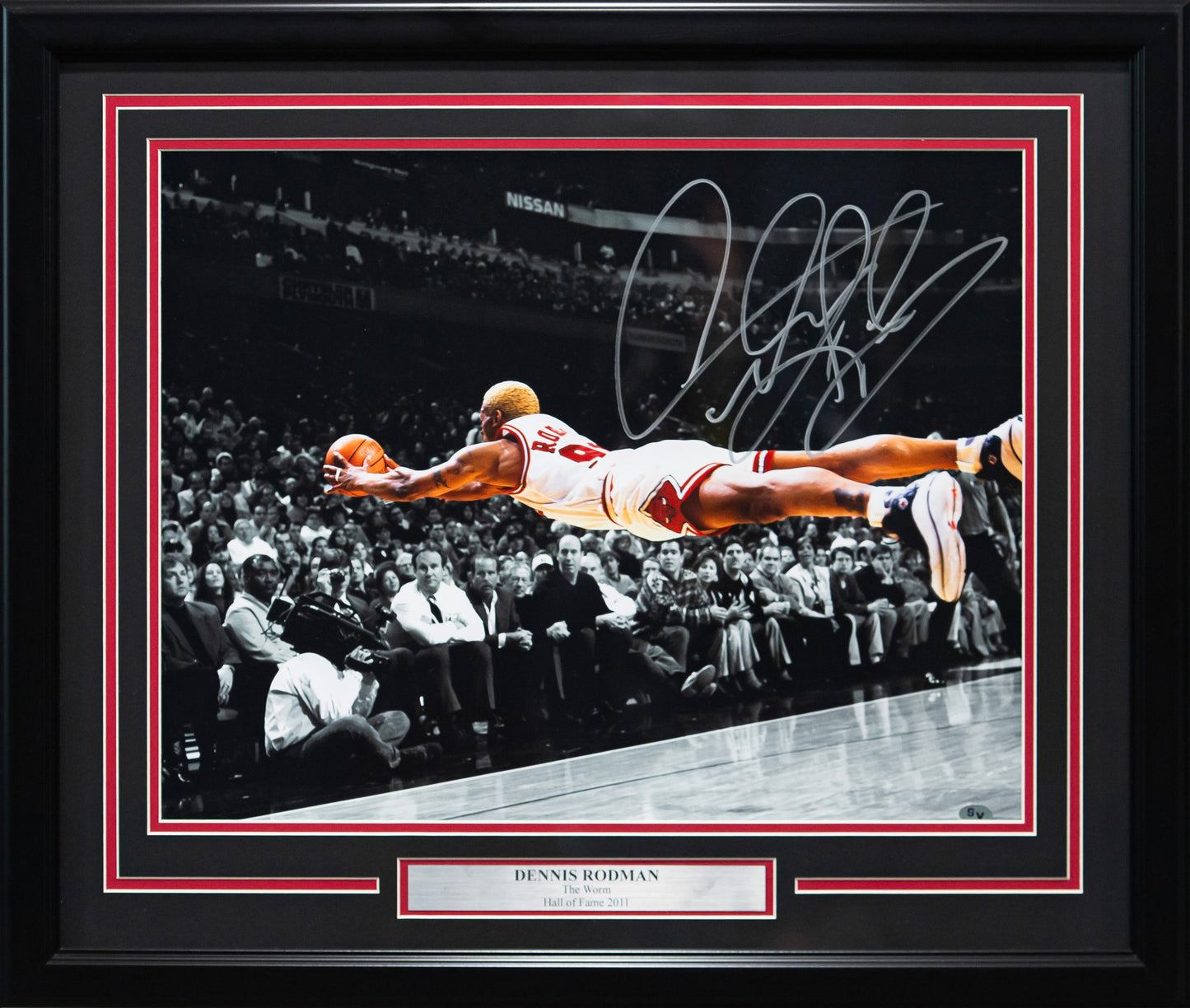 Dennis Rodman Chicago Bulls Autographed 16x20 "Dive" Photo Framed