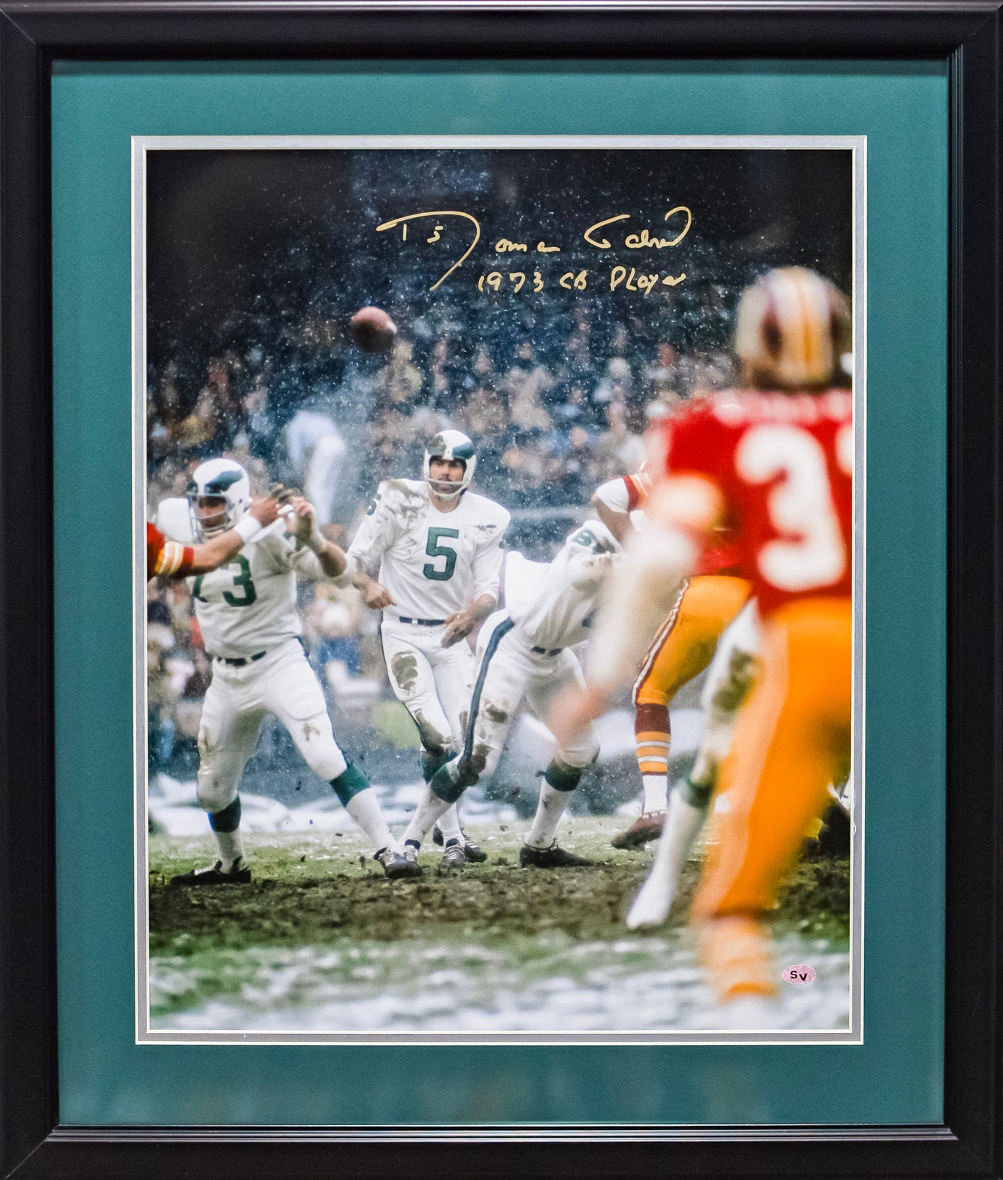 Roman Gabriel Philadelphia Eagles Autographed 16x20 Photo Framed