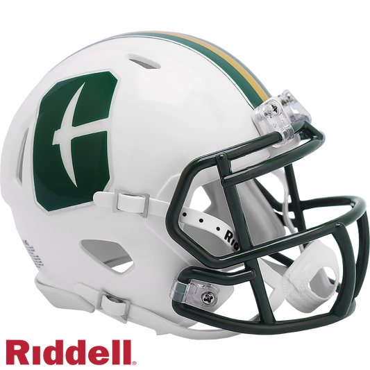 UNC Charlotte Primary Speed Mini Football Helmet
