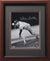 Steve Carlton Philadelphia Phillies Autographed 8x10 Photo Framed