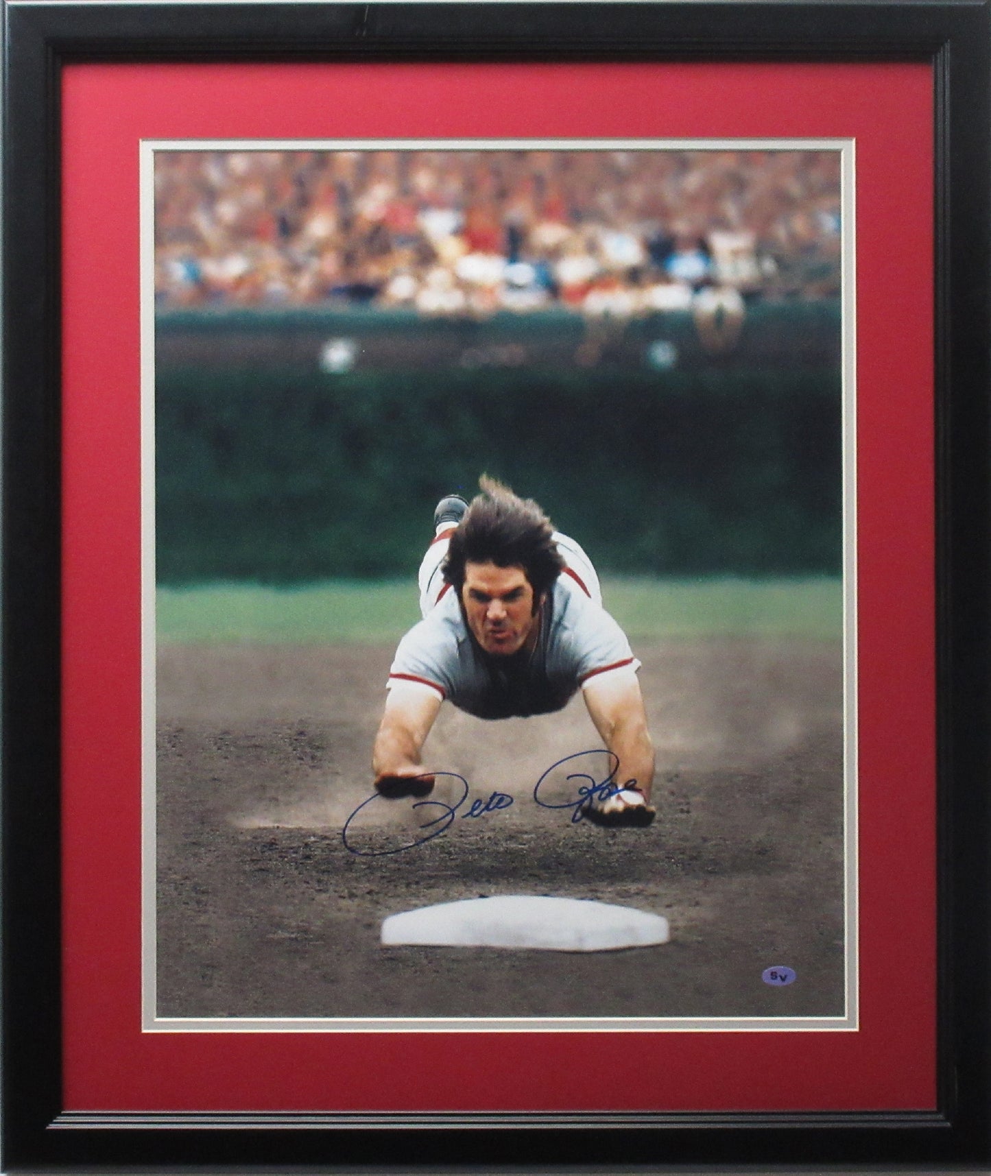 Pete Rose Cincinnati Reds 16x20 Autographed "Reds Color Dive" Photo Framed