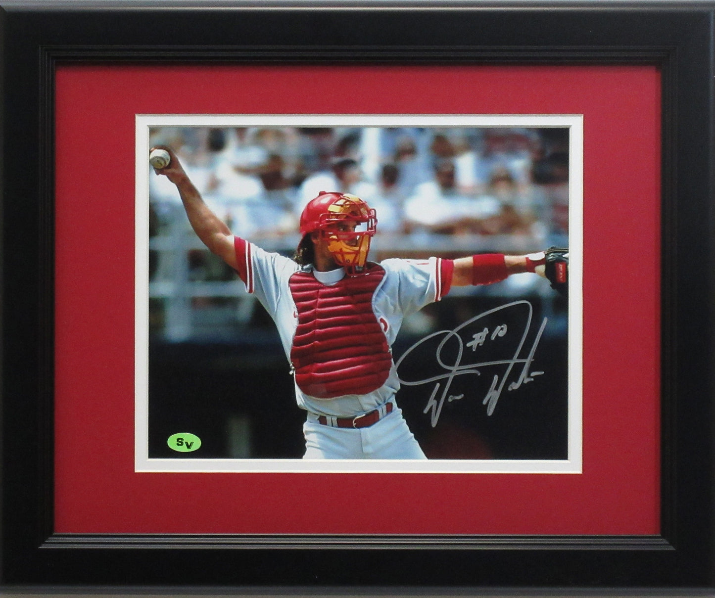 Darren Daulton 8x10 Philadelphia Phillies  "Close Up" Photo