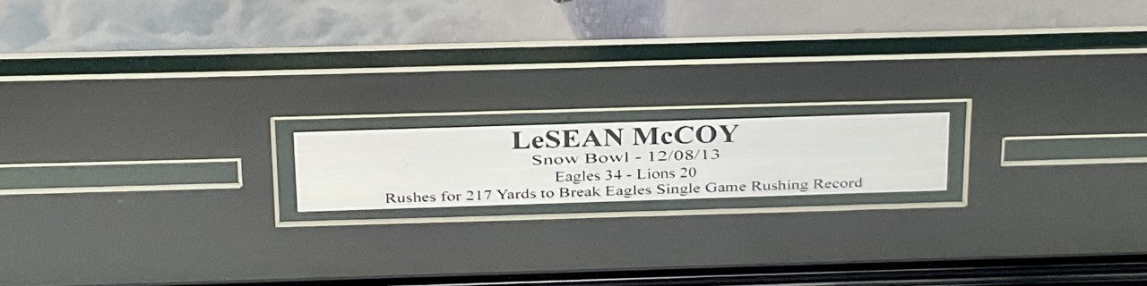 McCoy's record day keys Eagles win in the snow