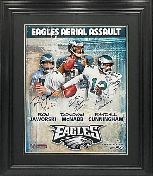 Philadelphia Eagles Aerial Assault Autographed 16x20 Photo Framed