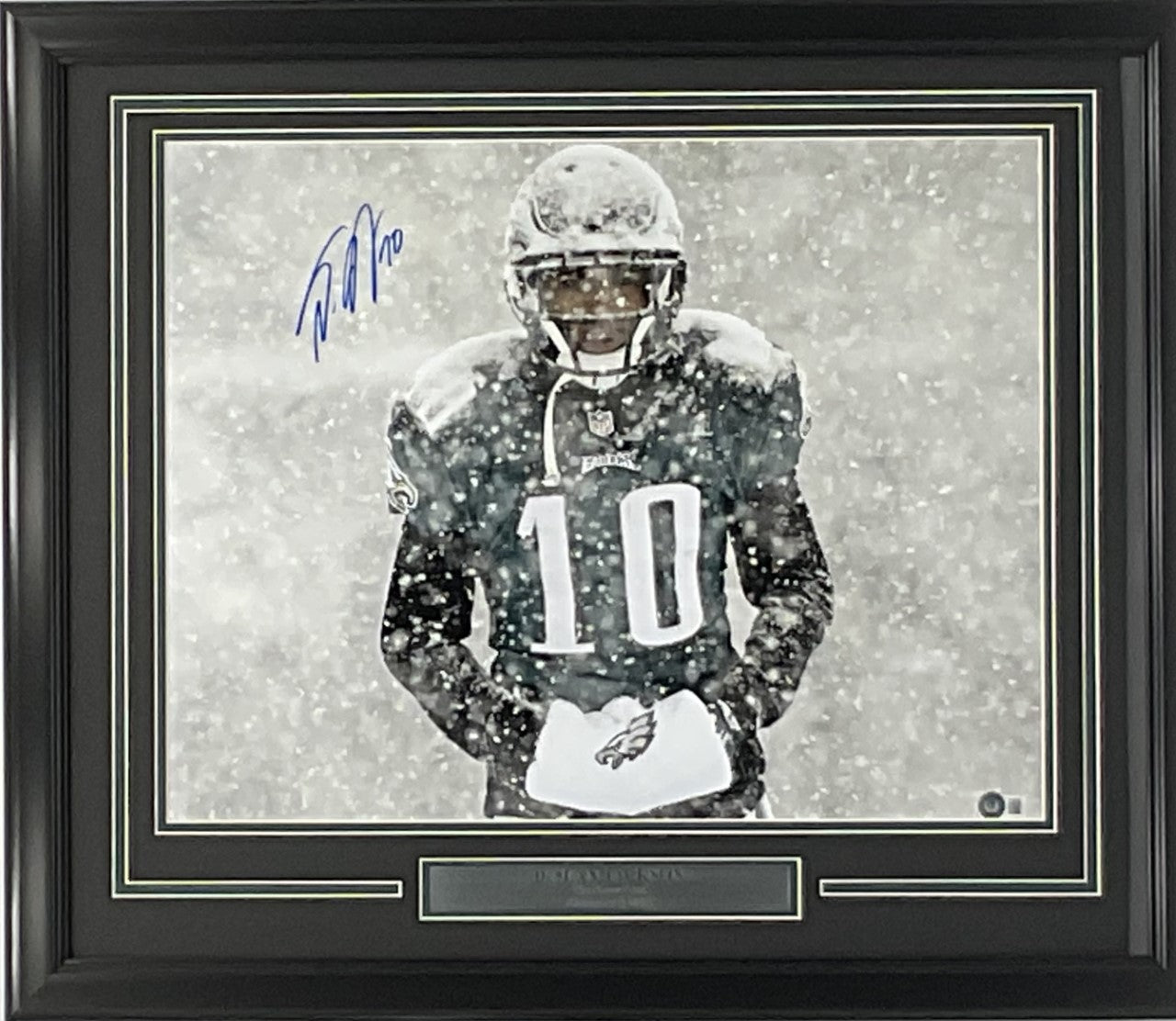 DeSean Jackson Philadelphia Eagles Autographed "Snow Bowl" 16x20 Photo Framed