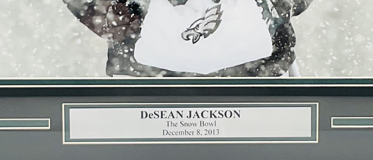 DeSean Jackson Philadelphia Eagles Autographed "Snow Bowl" 16x20 Photo Framed